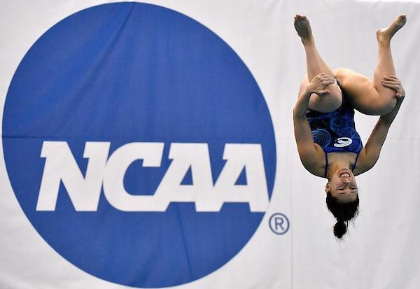 ncaa diving championship