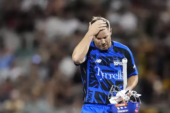 Warner's 71 off 51 went in vain.